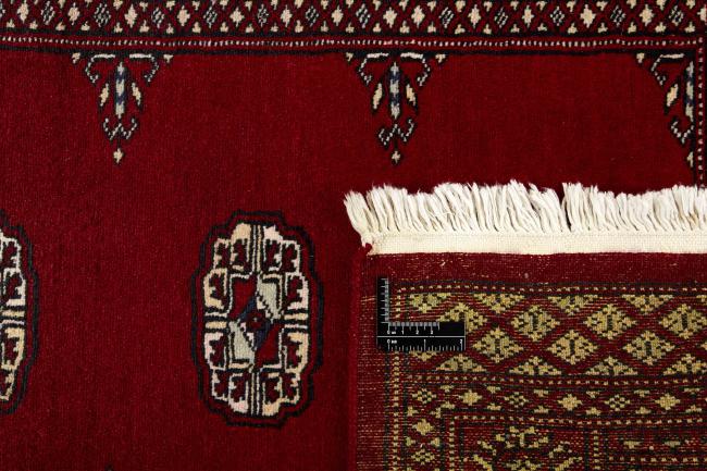 Pakistan Buchara 2ply - 1