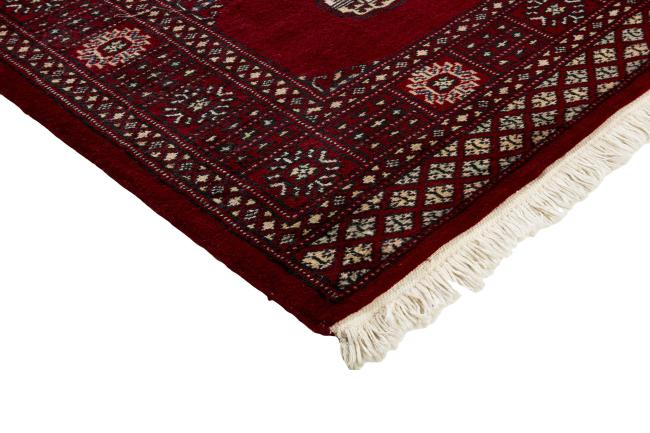 Pakistan Buchara 2ply - 3