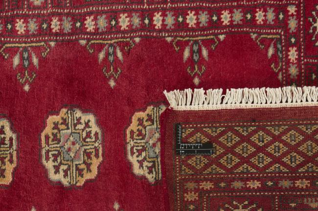 Pakistan Buchara 3ply - 1