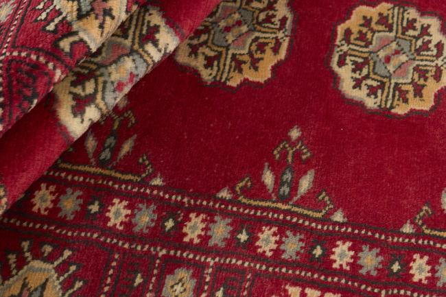 Pakistan Buchara 3ply - 2