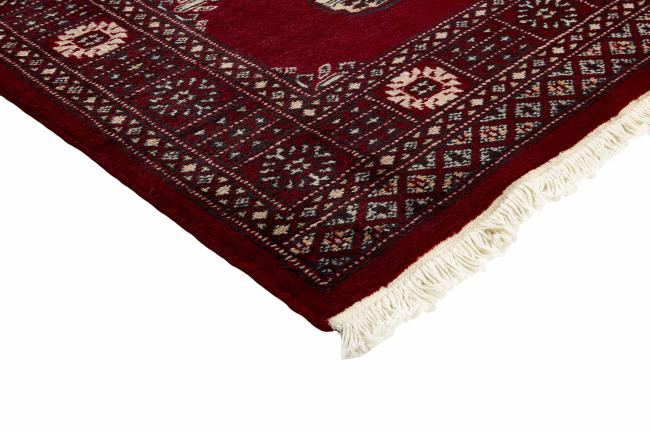 Pakistan Buchara 2ply - 3