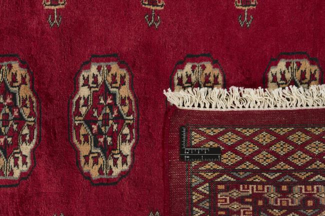 Pakistan Buchara 3ply - 1