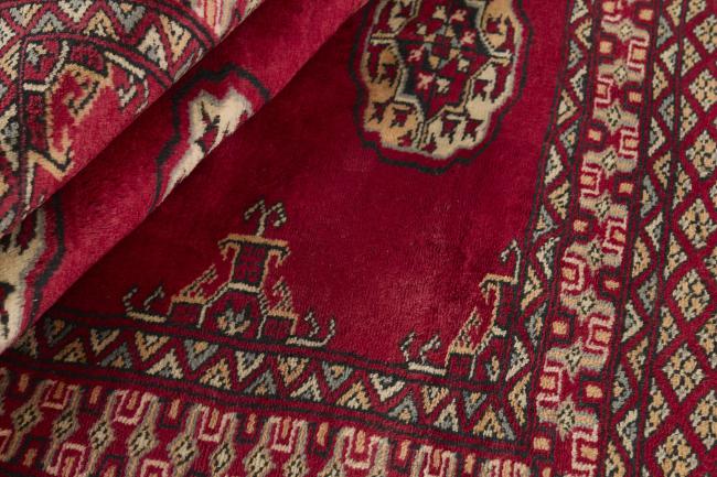 Pakistan Buchara 3ply - 2
