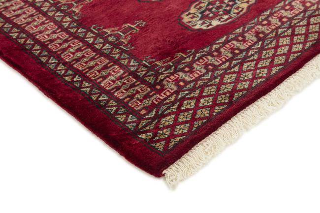 Pakistan Buchara 3ply - 3
