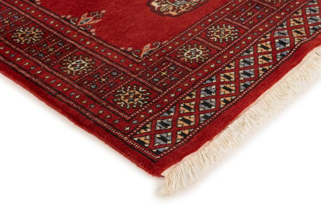 Pakistan Buchara 2ply - 3