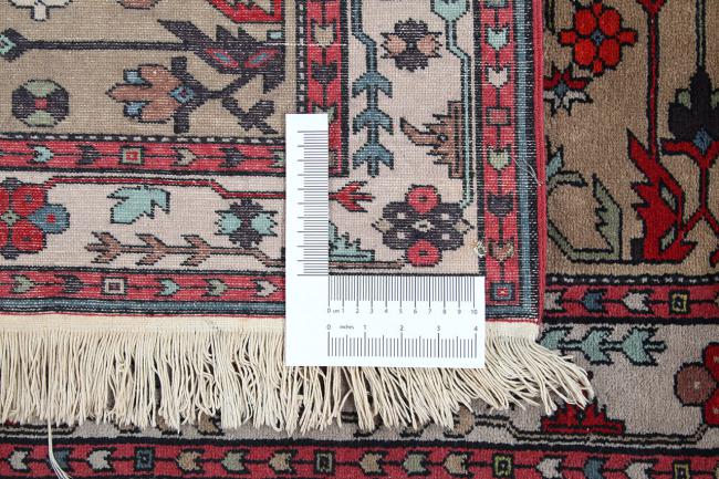 Shirvan - 7