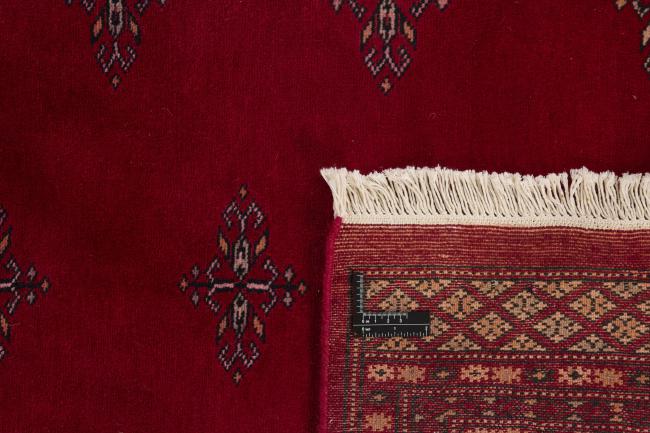 Pakistan Buchara 2ply - 1