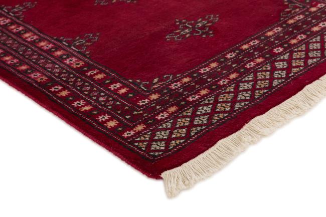 Pakistan Buchara 2ply - 3