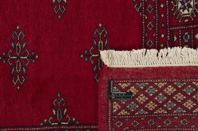 Pakistan Buchara 2ply - 1