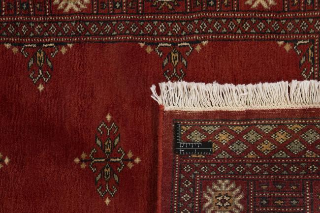 Pakistan Buchara 3ply - 1