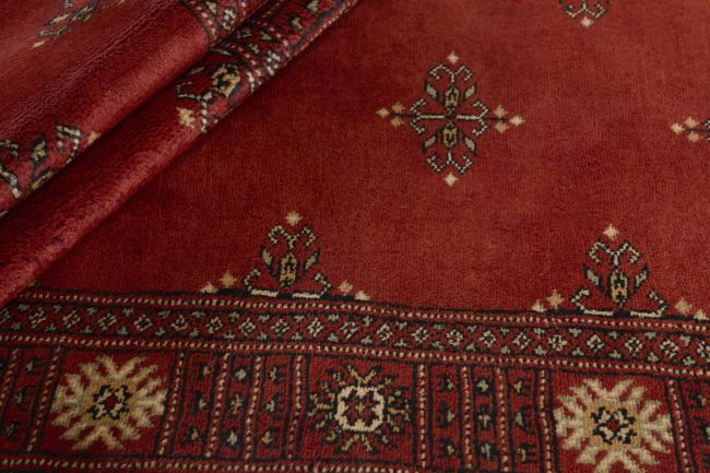Pakistan Buchara 3ply - 2