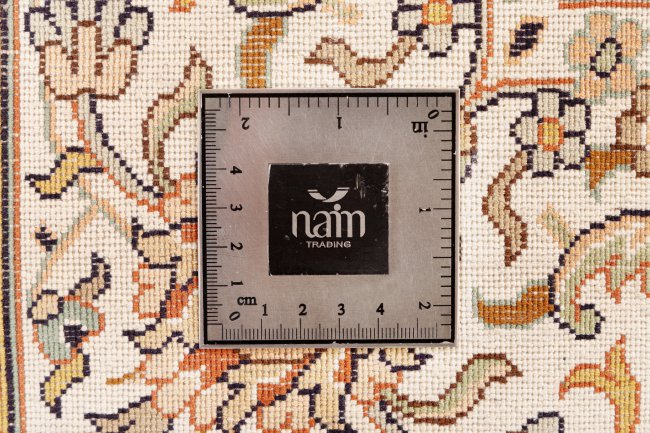Kashmir Silk - 9