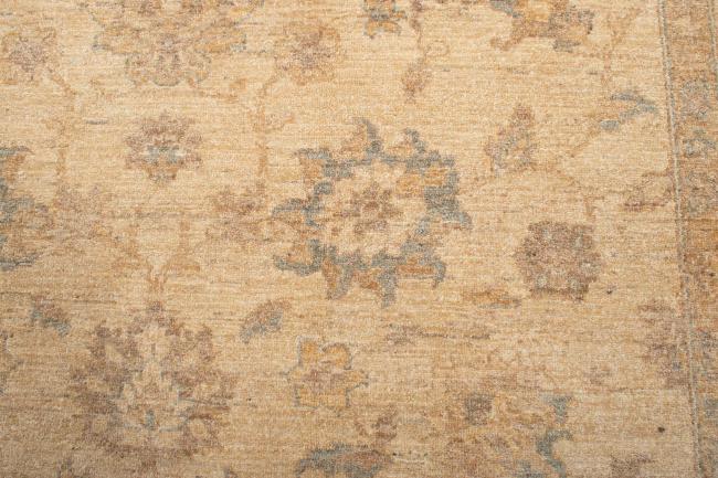 Ziegler Farahan - 3