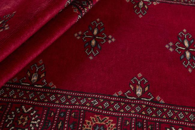 Pakistan Buchara 2ply - 2