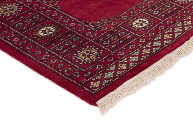 Pakistan Buchara 2ply - 3