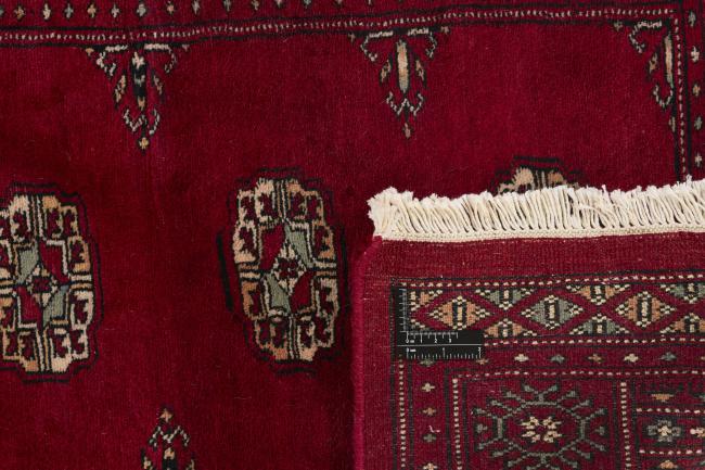 Pakistan Buchara 3ply - 1