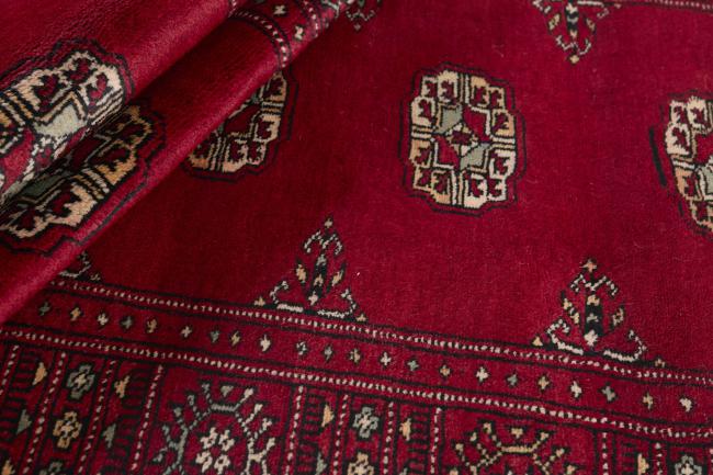 Pakistan Buchara 3ply - 2