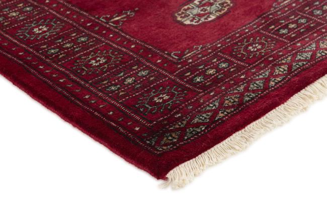 Pakistan Buchara 3ply - 3