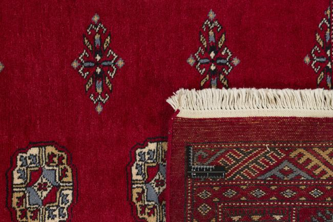 Pakistan Buchara 3ply - 1