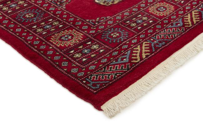 Pakistan Buchara 3ply - 3
