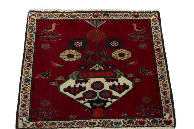 Shiraz - 3