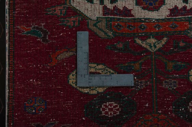 Shiraz - 4