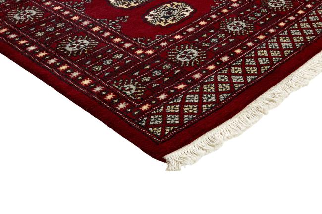 Pakistan Buchara 2ply - 3