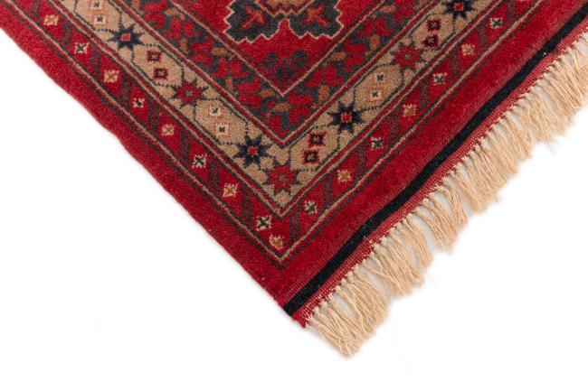 Afghan Mauri - 5