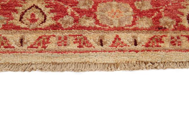 Ziegler Farahan - 6