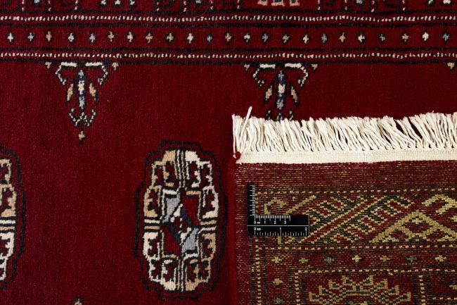 Pakistan Buchara 2ply - 1