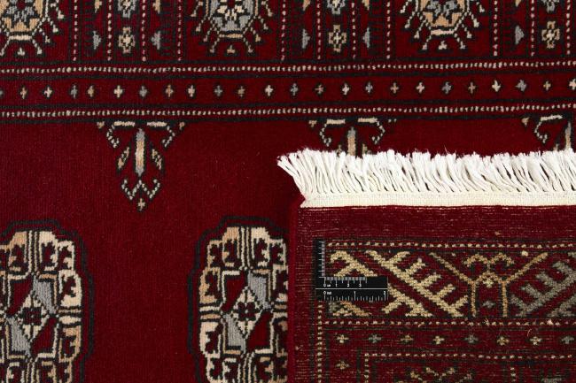 Pakistan Buchara 2ply - 1