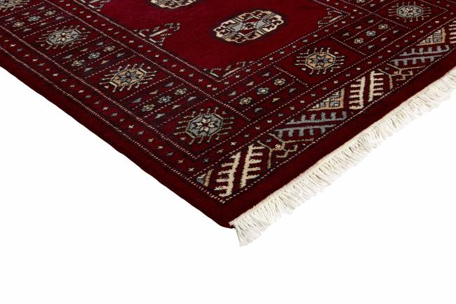 Pakistan Buchara 2ply - 3