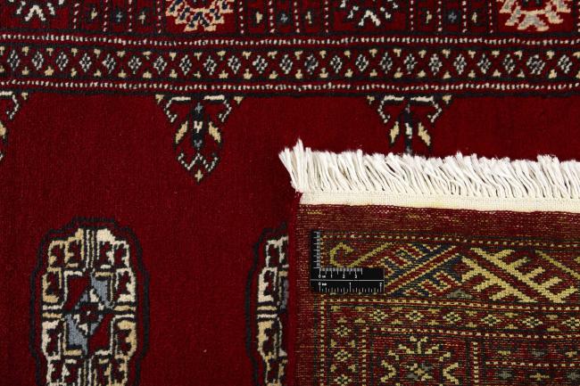 Pakistan Buchara 2ply - 1