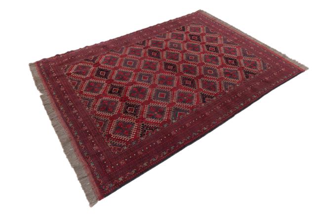 Afghan Mauri - 1