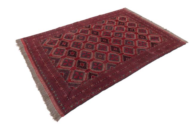 Afghan Mauri - 2