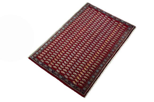 Shiraz - 2