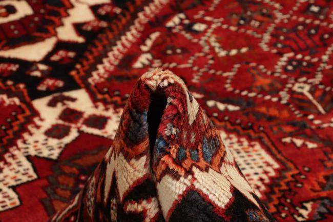 Shiraz - 10