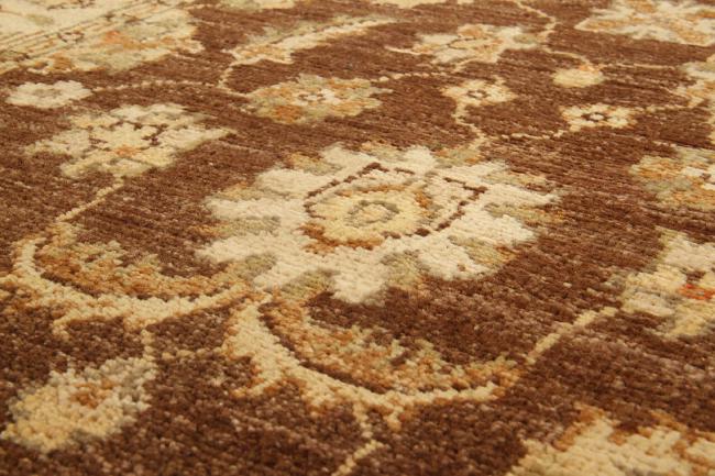 Ziegler Farahan - 5