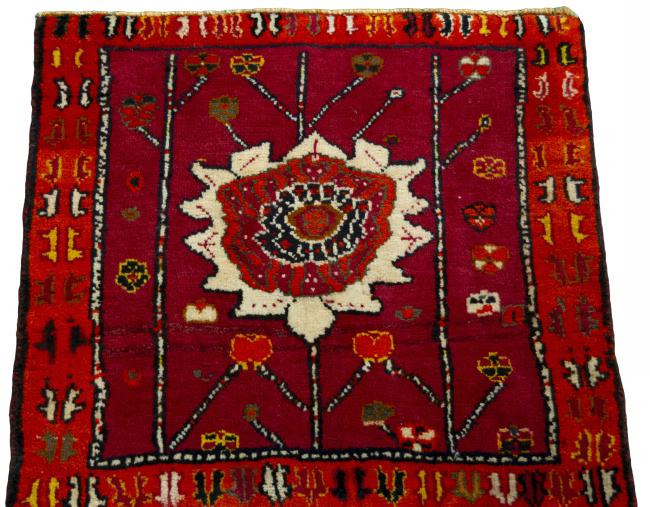Shiraz - 3