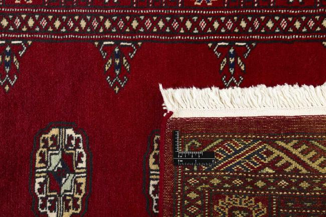 Pakistan Buchara 2ply - 1