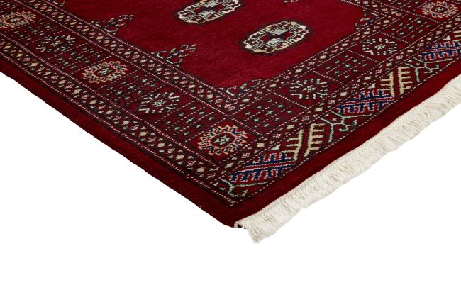 Pakistan Buchara 2ply - 3