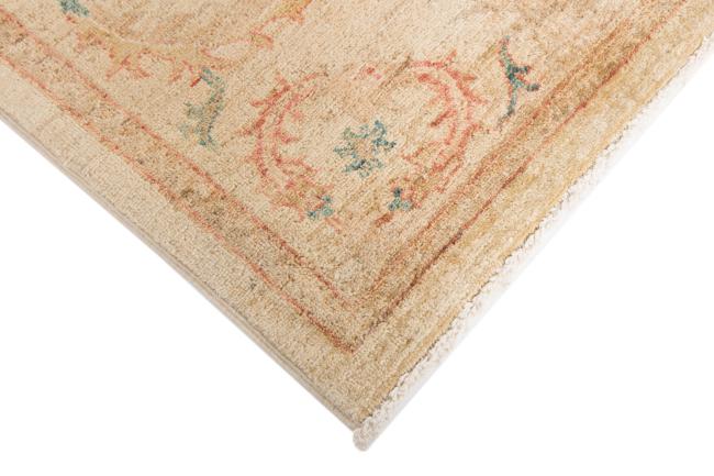 Ziegler Farahan - 5