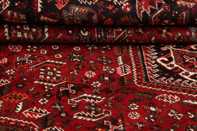 Shiraz - 1