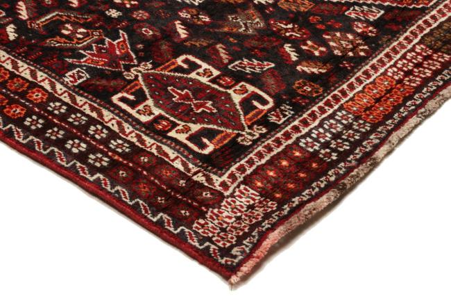 Shiraz - 6