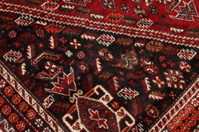 Shiraz - 7