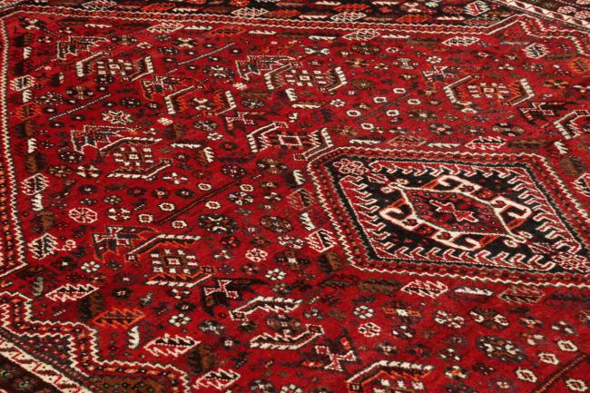 Shiraz - 8
