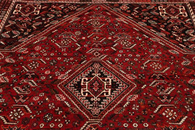 Shiraz - 9
