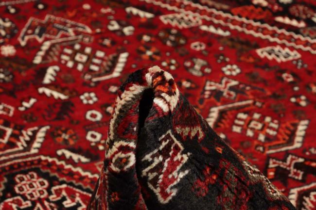 Shiraz - 10