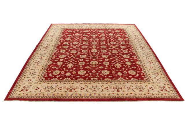 Ziegler Farahan - 2