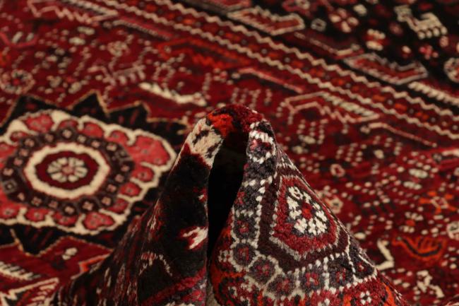 Shiraz - 11
